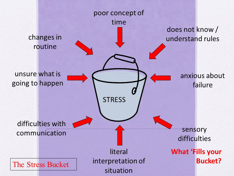 Stress Bucket Diagram with examples of issues that might cause stress