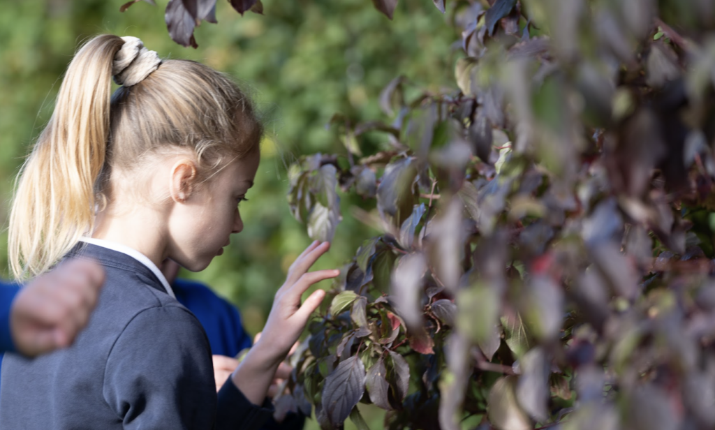 A female student with blonde hair is seen interacting with some leaves on a tree, outdoors on the academy grounds.